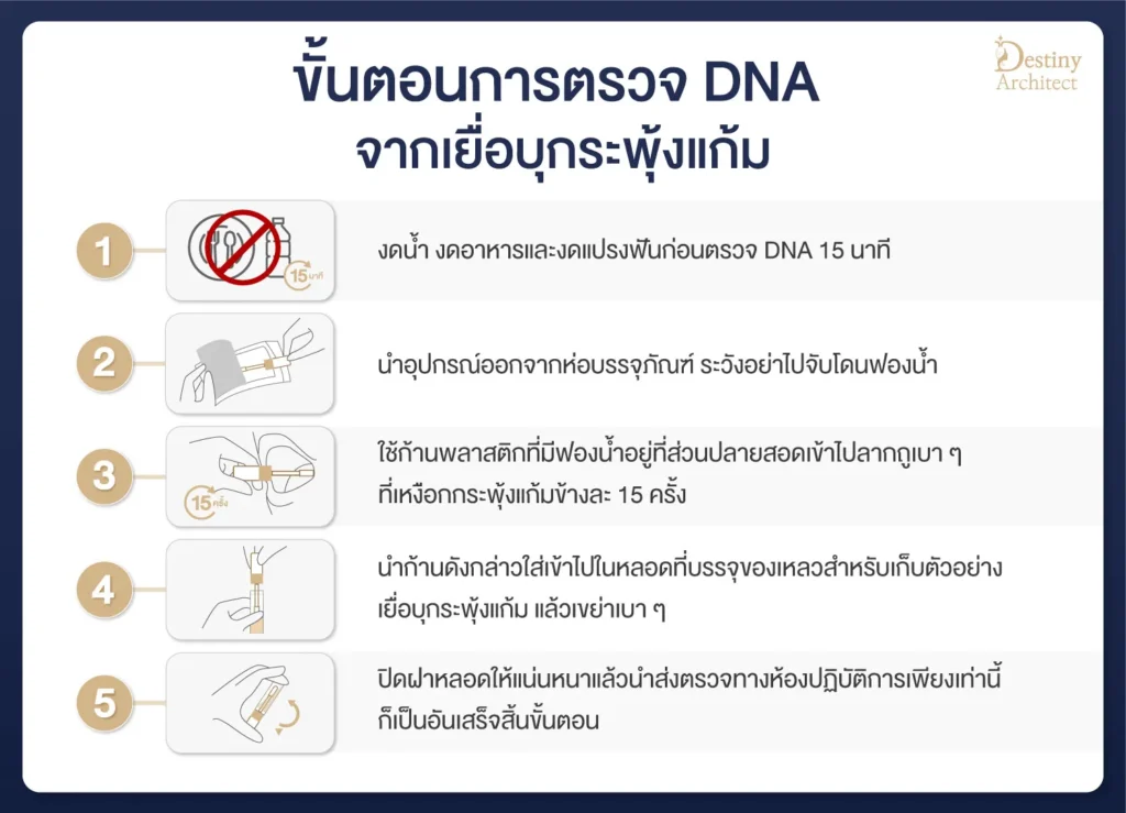 Destiny-DNA-Test-Infographic