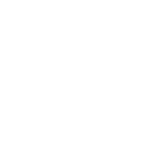 IDM
