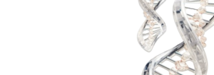 LandingPage-BG