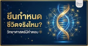 ยีนกำหนดชีวิตจริงไหม? วิทยาศาสตร์มีคำตอบ