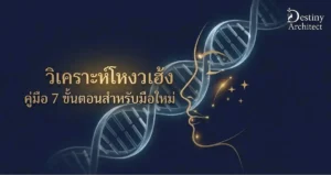 วิเคราะห์โหงวเฮ้ง คู่มือ 7 ขั้นตอนสำหรับมือใหม่ 